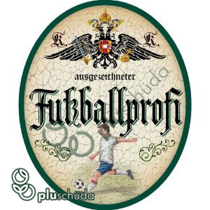 Fußballprofi