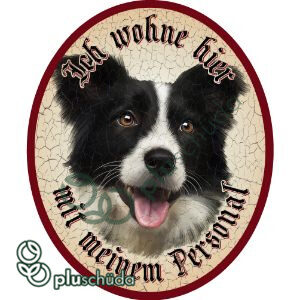 Ich wohne hier mit meinem Personal Border Collie 13