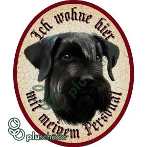 Ich wohne hier mit meinem Personal Riesenschnauzer 4