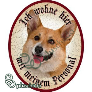 Ich wohne hier mit meinem Personal Corgi 45