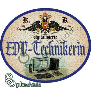 EDV Technikerin