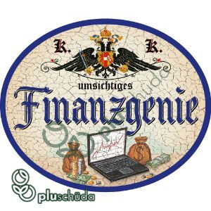 Finanzgenie