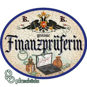 Finanzprüferin