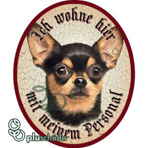Ich wohne hier mit meinem Personal Chihuahua 14