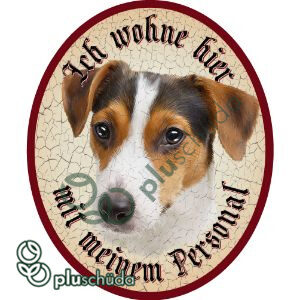 Ich wohne hier mit meinem Personal Jack Russel Terrier 22