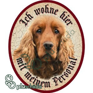 Ich wohne hier mit meinem Personal Cocker Spaniel 23