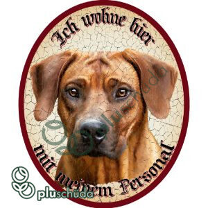 Ich wohne hier mit meinem Personal Rhodesian Ridgeback 25