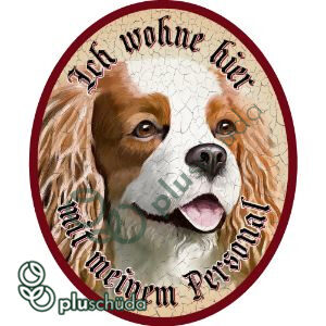 Ich wohne hier mit meinem Personal - Cavalier Spaniel 30