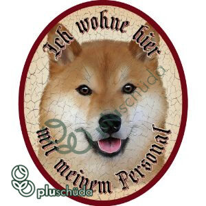 Ich wohne hier mit meinem Personal - Shiba Inu 32