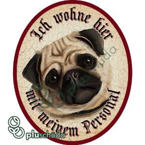 Ich wohne hier mit meinem Personal Hund Mops 3