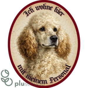 Ich wohne hier mit meinem Personal – Pudel 31