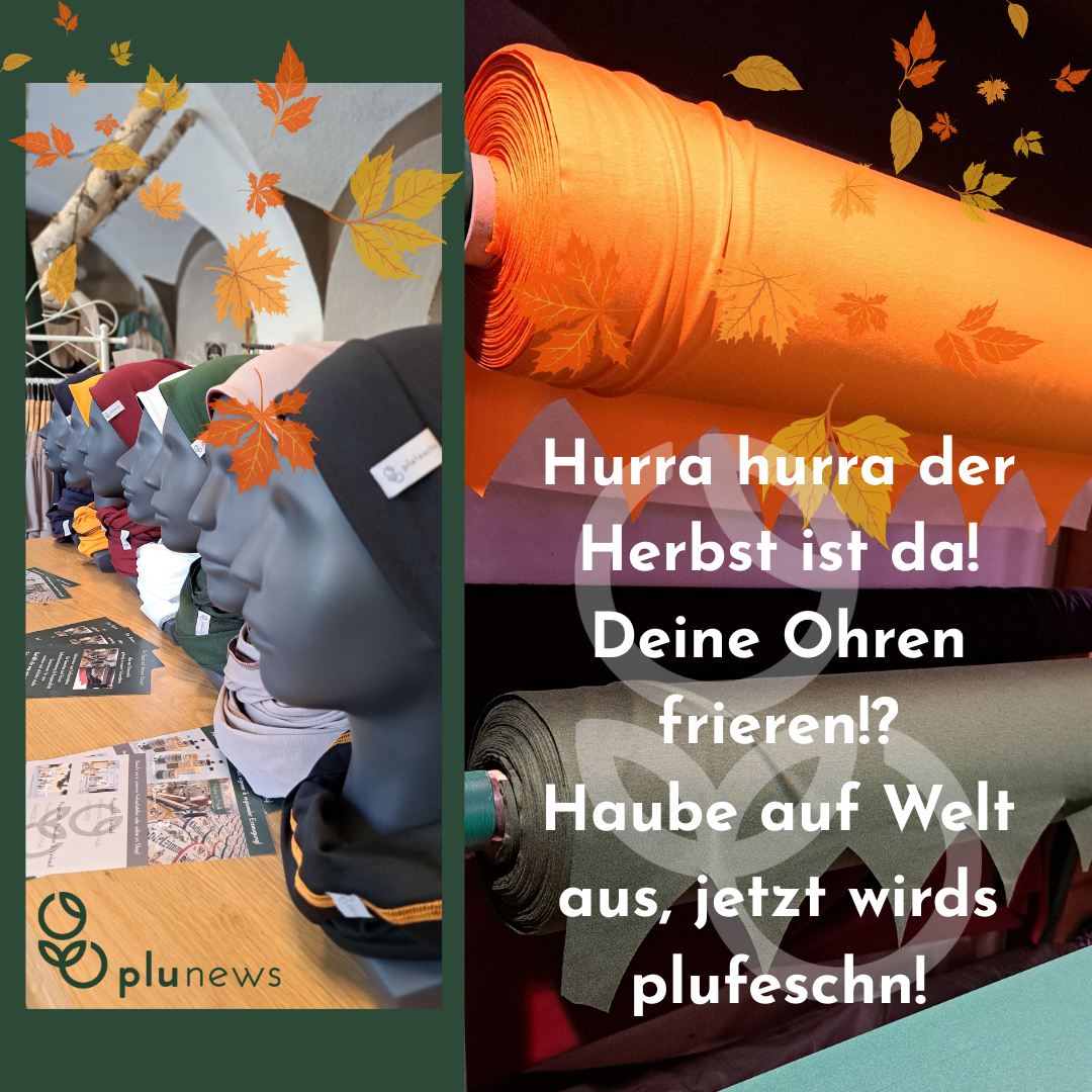 Haupt Popup (gepostet)