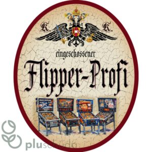 Flipper-Profi